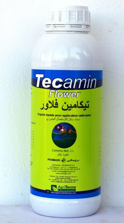 TECAMIN FLOWER