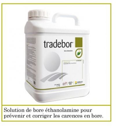 TRADEBOR