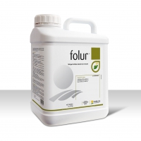 FOLUR