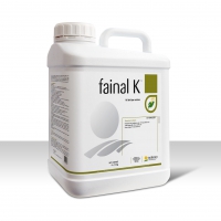 FAINAL K