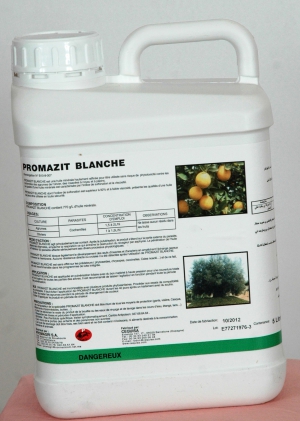 PROMAZITE BLANCHE