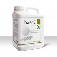 LOWER 7