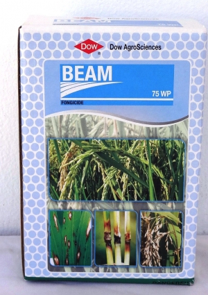 BEAM 75 WP