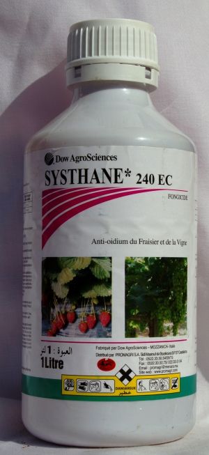 SYSTHANE 240 EC
