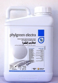 PHYLGREEN ELECTRA