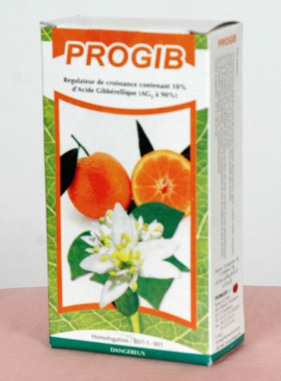 PROGIB