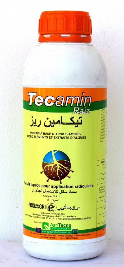 TECAMIN RAIZ